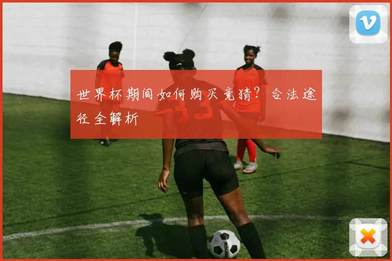 世界杯期间如何购买竞猜？合法途径全解析