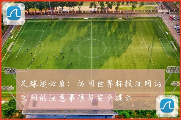 足球迷必看：访问世界杯投注网站官网的注意事项与安全提示