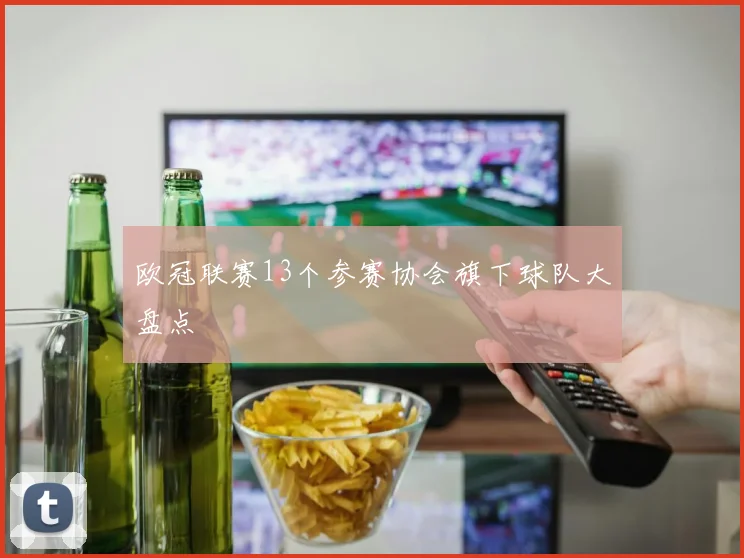 欧冠联赛13个参赛协会旗下球队大盘点