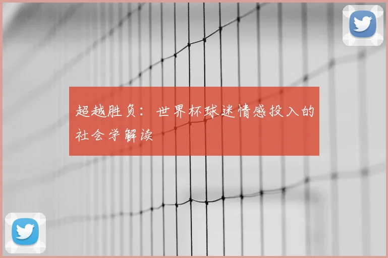 超越胜负：世界杯球迷情感投入的社会学解读