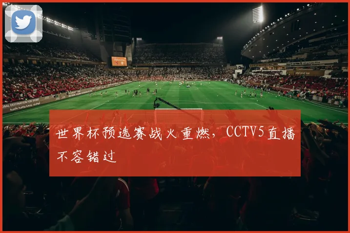 世界杯预选赛战火重燃，CCTV5直播不容错过