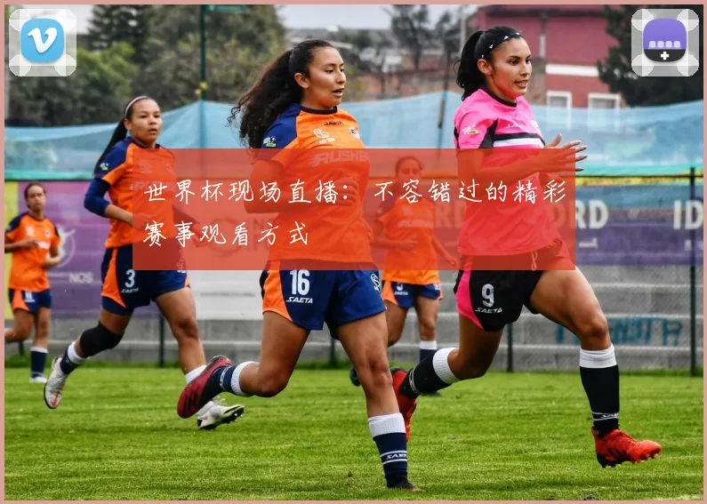 世界杯现场直播:不容错过的精彩赛事观看方式