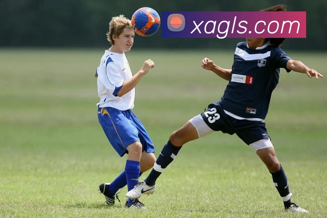 米乐yy易游官网平台生态图