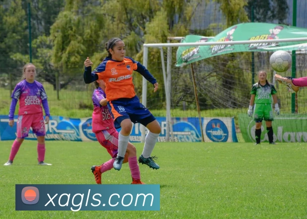 体育赛事直播