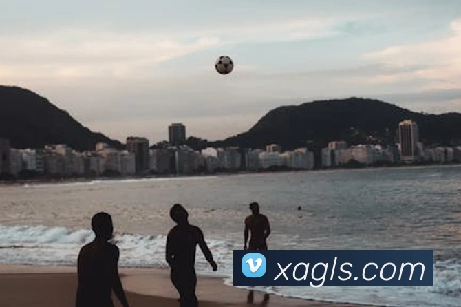 米乐yy易游官网全站App